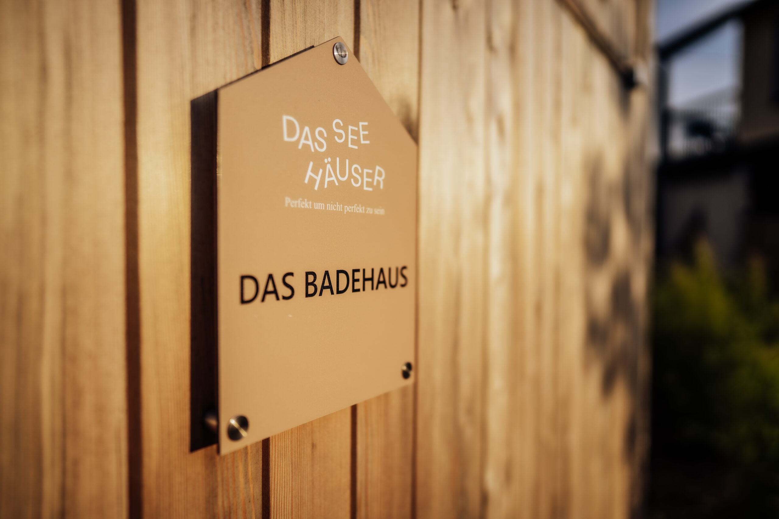 DSC06746(c)MarkusSchloegel